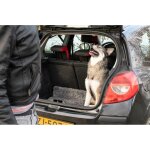 Royal Dry Fußmatte Für Hunde L