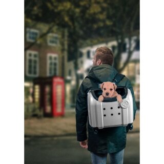 Compaws Trolley London 40cm Grau