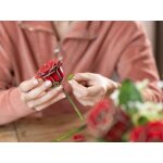 Revell 00631 Flowers Dream of Roses - Holzblumen