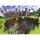 Ravensburger 13334 Puzzle Minecraft Cutaway Teileanzahl: 300XXL