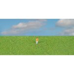 Faller 170212 Streufasern, grasgrün, (4mm/80g) N H0 Z TT