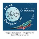 Kosmos 63307 Experimentierkasten - Triops-Welt Leben aus der Urzeit
