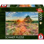 Schmidt Spiele 59768 Heide im Sonnenuntergang 1000 Teile...