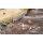 Faller 151733 Badende Spurweite H0