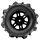 Pro-Line 10312-10 1:16 Dumont v/h MT Reifen schwarz (2): MINI KRATON