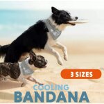 Coolpets Kühl-Bandana beige M