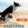 Coolpets Kühl-Bandana beige M