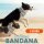 Coolpets Kühl-Bandana Halstuch beige S