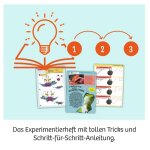Kosmos 62134 Experimentierkasten - Crashy Dein Robo-Panda auf Kollisions-Kurs!