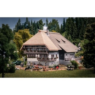 Faller 130013 Jubiläumsmodell Schwarzwaldhof mit 2 Figuren Spurweite H0