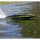 ProBoat PRB-2171T1 Sonicwake 36 Zoll V3 Self-Righting V-Hull Boat RTR, Black