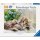Ravensburger 01904 Süßes Kätzchen Puzzle Teielanzahl 500