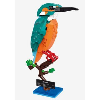 BlueBrixx 109611 Eisvogel Teileanzahl: 286