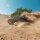 Arrma ARA4305V4T2 1:10 VORTEKS 223S BLX Brushless 4X4 ST RTR mit DSC, Teal
