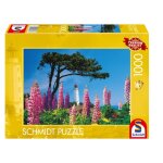 Schmidt Spiele 58067 Leuchtturm Dornbusch Hiddensee 1.000...